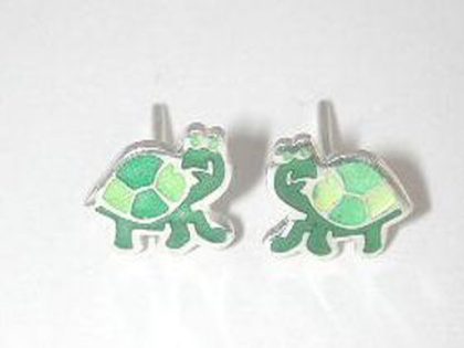 Arracades Tortuga