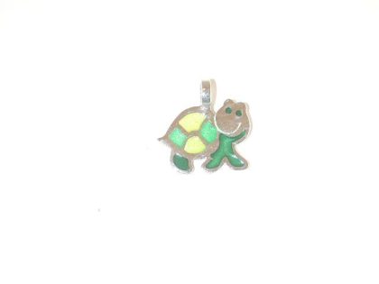 Penjoll tortuga
