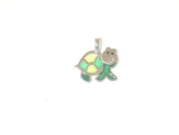 Penjoll tortuga